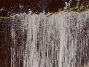 Wasser